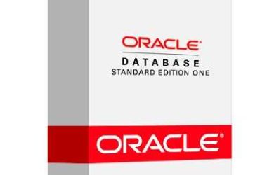 The oracle. Oracle standard edition. Oracle субд логотип. Oracle database standard edition. The oracle.