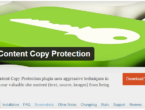 rekomendasi plugin wordpress anti copy paste