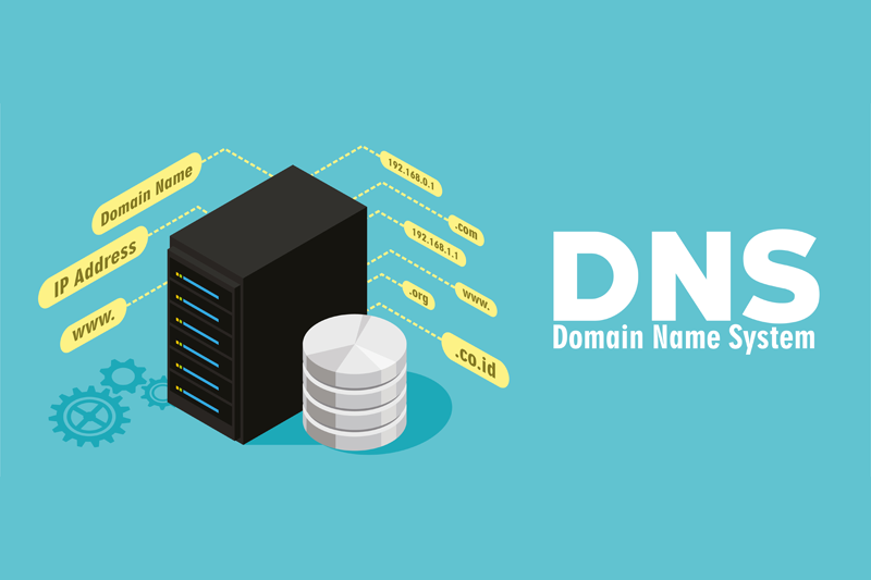 DNS Server