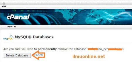 delete database di phpmyadmin