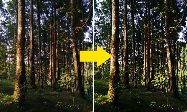 cara membuat foto lebih tajam dengan efek HDR photoshop