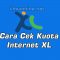cara cek kuota internet xl