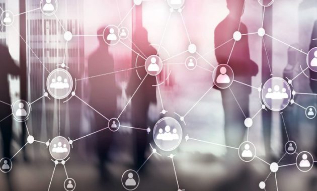 Langkah Membangun Human Capital Management