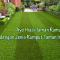 Ayo Hiasi Taman Rumah dengan Jenis Rumput Taman ini